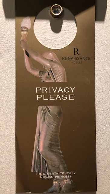 Privacy Please door sign-s
